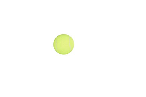 Penn Championship Tennis Balls - Regular Duty, 24 Cans (72 Balls) - Official USTA & ITF Approved