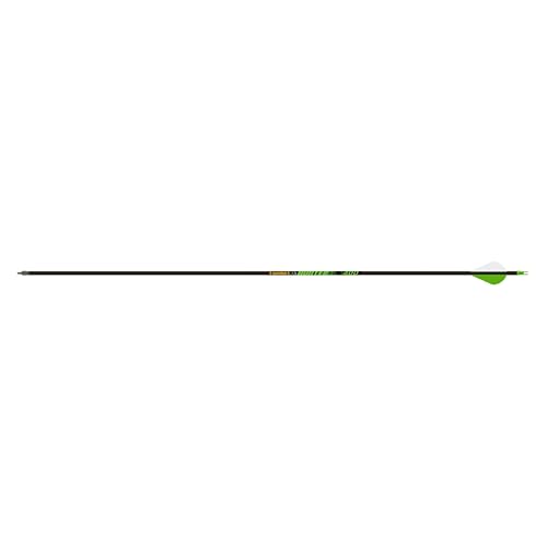 Gold Tip .246 Hunter XT Carbon Arrows with 2-inch Raptor Vanes - 400 Count