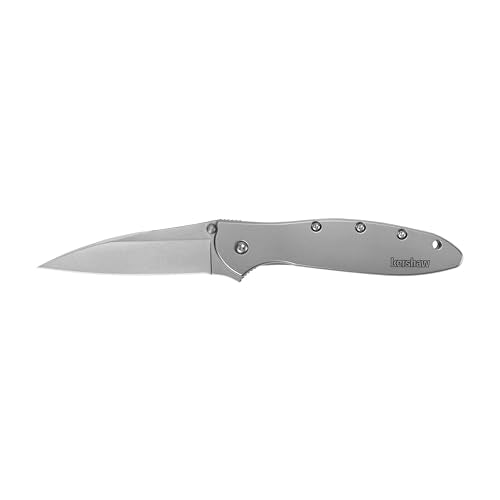 Kershaw Leek Silver Pocket Knife 3-Inch Drop Point Blade, Assisted Open