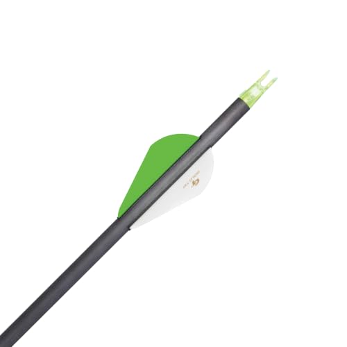 Gold Tip .246 Hunter XT Carbon Arrows 12 Pack with 2" Raptor Vanes - Model 340