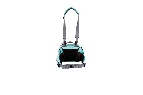 Mountainsmith Tour Lumbar Pack - One Size Cascade Teal Outdoor Fanny Bag