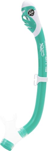 Cressi Kids Snorkeling Set with Adjustable Fins, Silicone Mask & Dry Snorkel Aqua Green/White L/XL