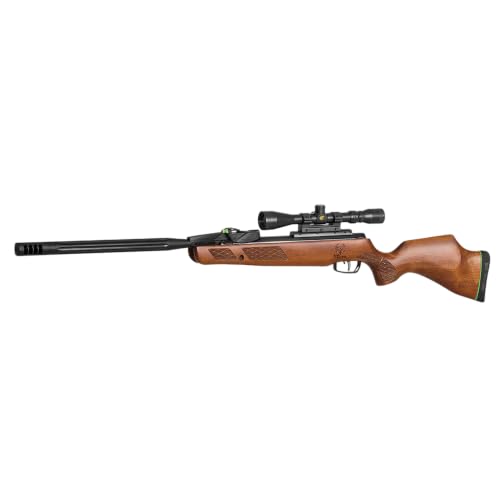 Gamo Swarm Bone Collector 10X Gen3i Multi-Shot Air Rifle 0.22 Caliber