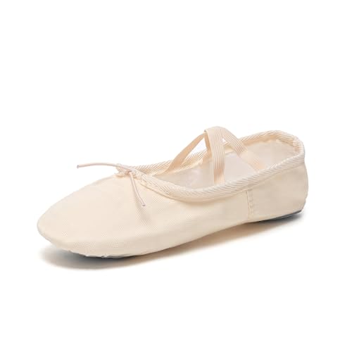 Adult Canvas and Leather Ballet Shoes - Pink, Size 7 - Danzcue