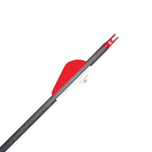 Gold Tip Hunter Arrow Shafts Pack of 12 - Black 500 Variation for Archery
