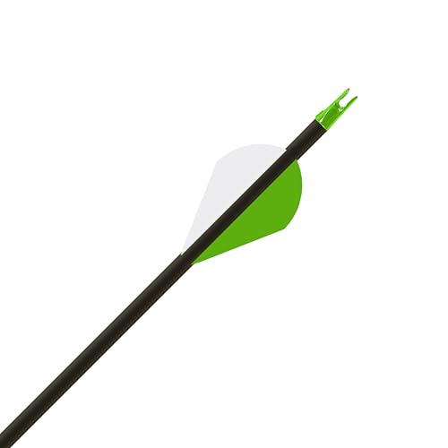 Gold Tip .246 Hunter XT Carbon Arrows with 2-inch Raptor Vanes - 400 Count