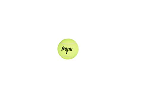 Penn Championship Extra Duty Tennis Balls - 24 Cans, 72 Balls, USTA & ITF Approved