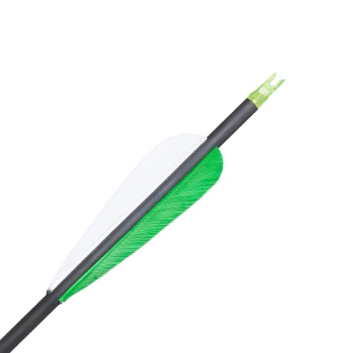 Gold Tip .246 Hunter XT Carbon Hunting Arrows - 300 with 2" Raptor Vanes - Pack of 6