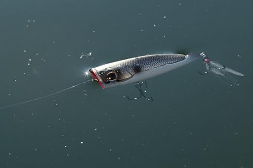 Berkley Bullet Pop Topwater Fishing Lure, Black Chrome, 2/5 oz, 70mm | 2.75in Topwater, Tail Weighted Design Tuned for Maximum Casting Distance, Equipped with Fusion19 Hook