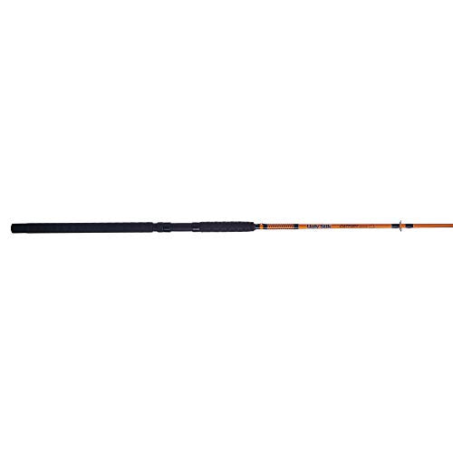 10' Medium Heavy Spinning Fishing Rod for Catfish - 15-40lb, 2pc