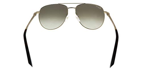 Unisex Aviator Sunglasses with Gold Finish and Havana Frames - 60mm