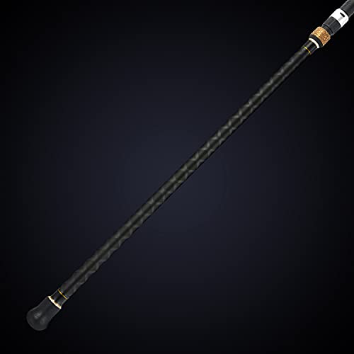 Berrypro 10' Carbon Travel Surf & Casting Fishing Rod 2-Piece