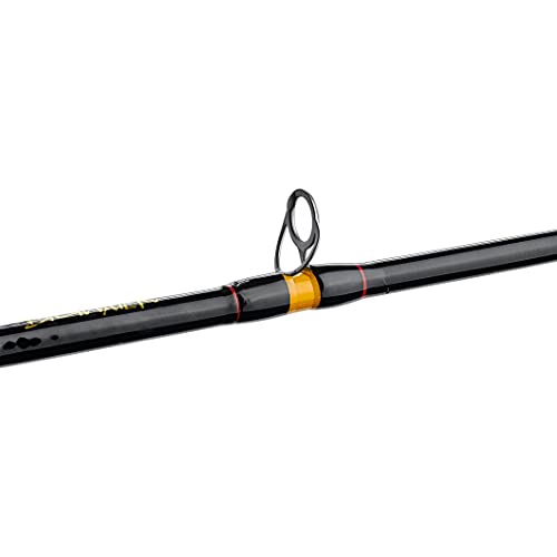 8'3" Light Spinning Fishing Rod - 6-20lb Test, 2-Piece - New Model