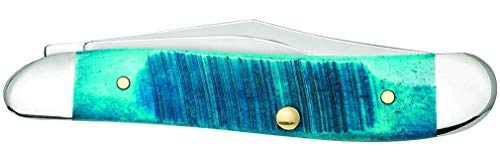 Case 25596 Pocket Knife with Caribbean Blue Jig Bone Handle, 2.875 Inch Closed