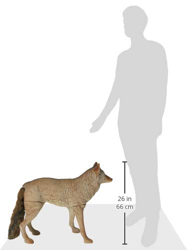 Coyote Decoy with Removable Legs for Predator Hunting and Deterrence