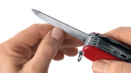 Victorinox Swiss Army Pocket Knife with LED Light, Multi-Tool, Small Red