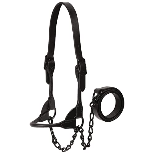 Medium Black Leather Livestock Halter for Showing and Handling - Adjustable Cow Calf Halter with 36" Lead