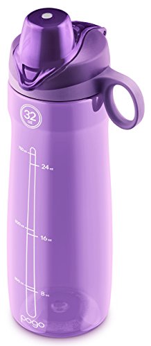 Pogo BPA-Free 32oz Water Bottle with Chug Lid - Purple, Leakproof Drinkware