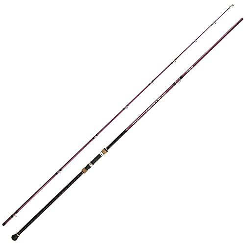 Berrypro 10' Carbon Travel Surf & Casting Fishing Rod 2-Piece