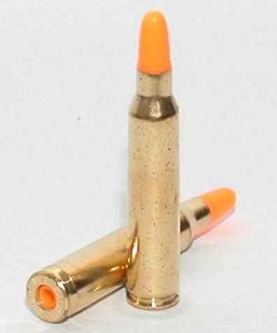 Skiennix .223/5.56 Action Trainer Dummy Rounds - Pack of 10 for Safe Training