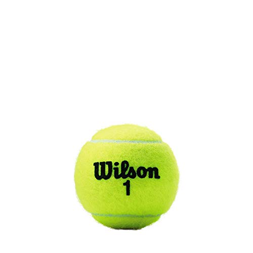 Wilson Extra Duty Championship Tennis Balls - 24 Can Case (72 Balls)