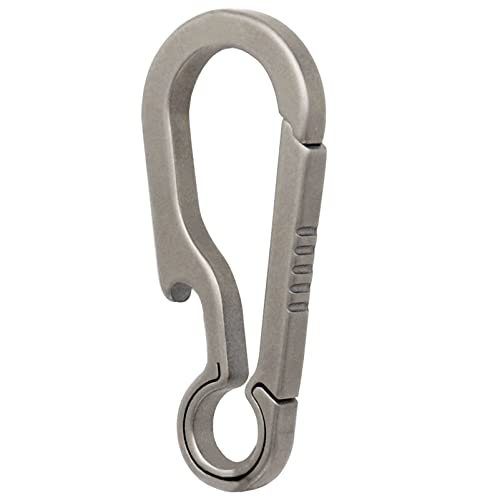 Small Titanium Carabiner Keychain Clip - Silver, 2 Inch Heavy Duty Keyring