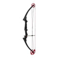 Genesis Archery Lightweight Compound Bow for Right Hand Black, 15-30" Draw
