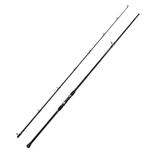 Fiblink 10' Surf Casting Baitcasting Fishing Rod - 2-Piece Carbon Fiber Travel