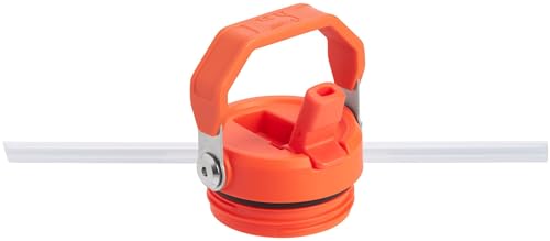 Stanley IceFlow Flip Straw 2.0 Water Bottle 36 oz Tigerlily Plum