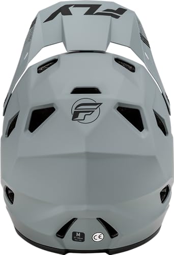 Fly Racing Rayce Full-Face Mountain Bike Helmet Adult Large Matte Grey