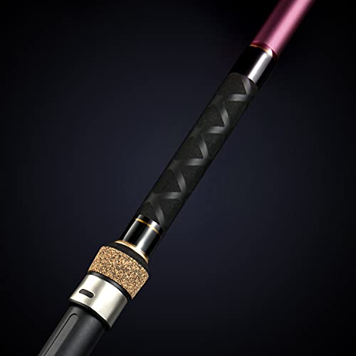 Berrypro 10' Carbon Travel Surf & Casting Fishing Rod 2-Piece