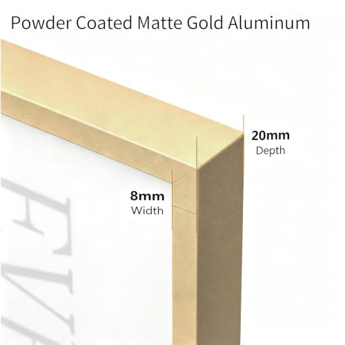 30x48 Metal Poster Frame with Matte Gold Finish and Plexiglass - Wall Mount