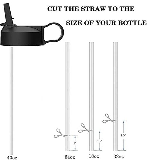 The Mass Wide Mouth Straw Lid Compatibility Most Sports Water Bottle (Cobalt)