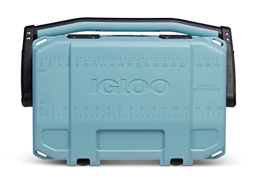 Igloo BMX Cooler 25 QT Celadon Insulated Hard Shell Ice Chest with Riser Tech