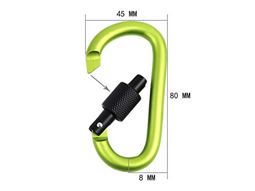 Aluminum Carabiner Keychain Locking D-Ring for Camping Hiking Travel - 10 PCS