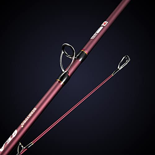 Berrypro 10' Carbon Travel Surf & Casting Fishing Rod 2-Piece