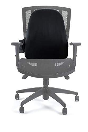 ObusForme CustomAir Inflatable Lumbar Support Pillow for Chair - Adjustable Backrest Cushion