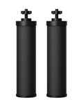 Waterdrop Silver Ions Black Water Filter Replacement for Berkey BB9-2 — Includes 2 Filters