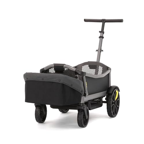 Veer Rear Foldable Storage Basket for Veer Cruiser City 2 Seater