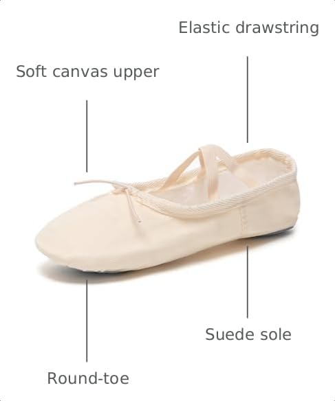 Adult Canvas and Leather Ballet Shoes - Pink, Size 7 - Danzcue