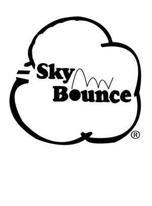 Sky Bounce Color Rubber Handballs for Recreational Handball, Stickball, Racquetball, Catch, Fetch, and Many More Games, 2 1/4-Inch, Green, 12 Count