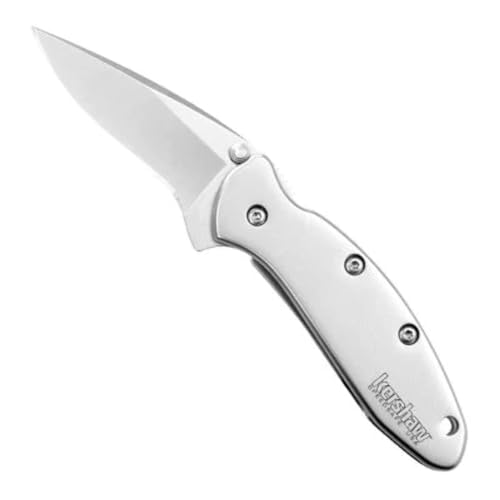 Kershaw Chive Pocket Knife 1.9 Inch 420HC Steel Blade, Speedsafe Assisted Opening, Made in USA - 1600