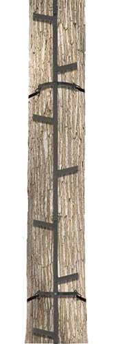 Big Game 20ft Climbing Ladder Sticks for Hunting - Portable Tree Stand Accessory, Variation 1