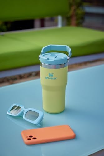 STANLEY IceFlow 2.0 Tumbler - 20 oz Insulated Water Bottle with Flip Straw & Handle | Leakproof | Chili Red
