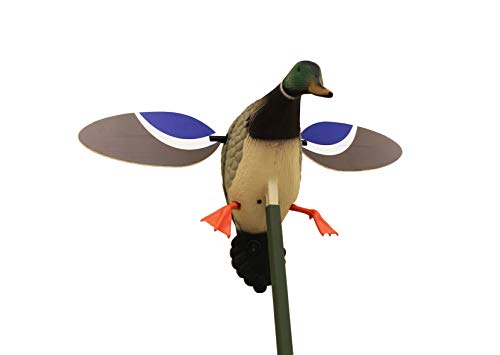 Drake Waterfowl Hunting Decoy - Compact MOJO Mallard with Remote Option