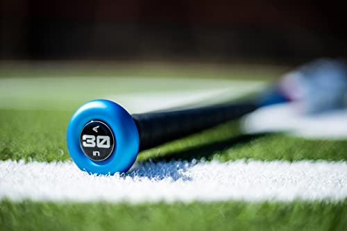 Easton Quantum -10 USSSA Baseball Bat 2 5/8" Barrel -10 Drop 28" White/Blue