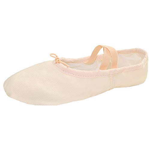 Adult Canvas and Leather Ballet Shoes - Pink, Size 7 - Danzcue