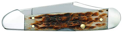 Case XX WR Mini Copperlock Pocket Knife Amber Bone 2.7-inch Lockback with Shield
