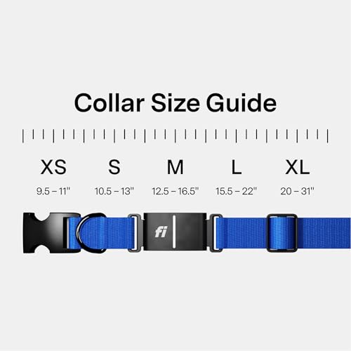 Fi Series 3+ GPS Dog Collar & Tracker Large Blue - 12-Month Membership Included