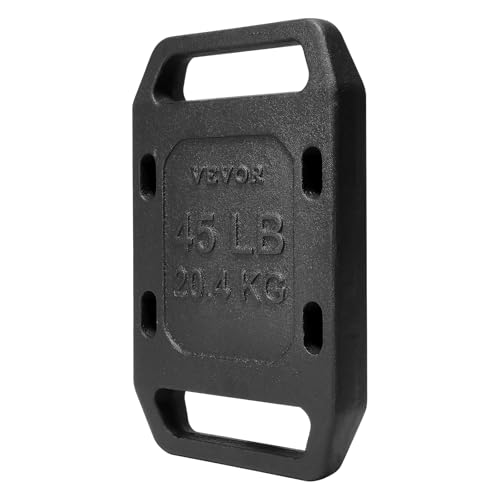 VEVOR Cast Iron Weights, 45LB Single Weighted Weights, Solid Plate Weight for Swings, Squat, Strength Training, Weightlifting, Fitness Workout